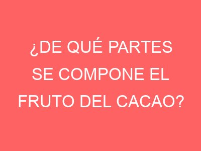 ¿De qué partes se compone el fruto del cacao?