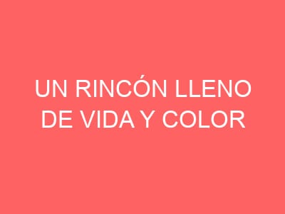 Un Rincón Lleno de Vida y Color