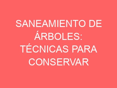 Saneamiento de árboles: técnicas para conservar el arbolado con seguridad