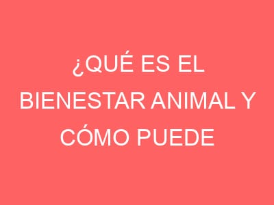 ¿Qué es el bienestar animal y cómo puede lograrse?