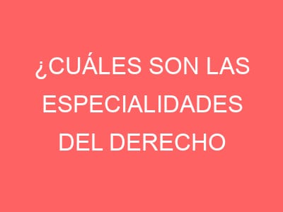 ¿Cuáles son las especialidades del derecho comercial?